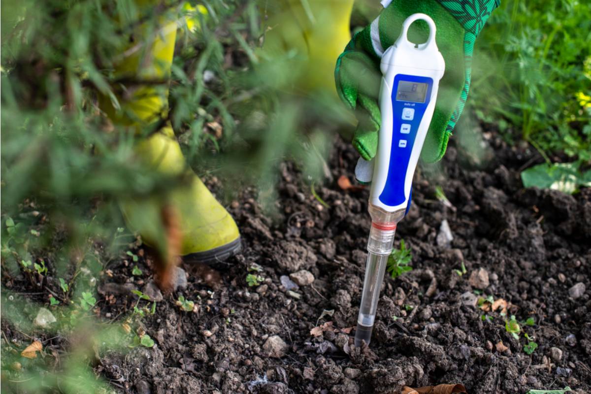 Gardener Says a Neighbor Borrowed Her Specialized Soil pH Meter Last Fall and Just Returned It Completely Broken With No Explanation