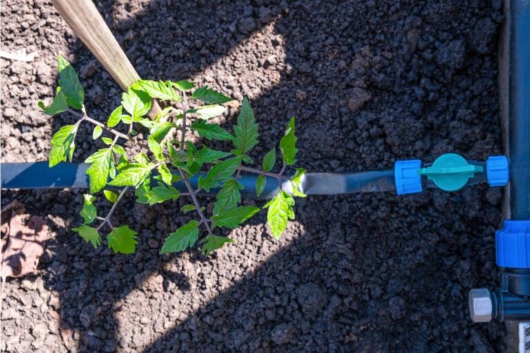 Gardener Says a Neighbor Offered to Help Her Install a New Drip System, Then Wired It to His Own Water Meter by Mistake and Never Mentioned It Until the Bill Arrived