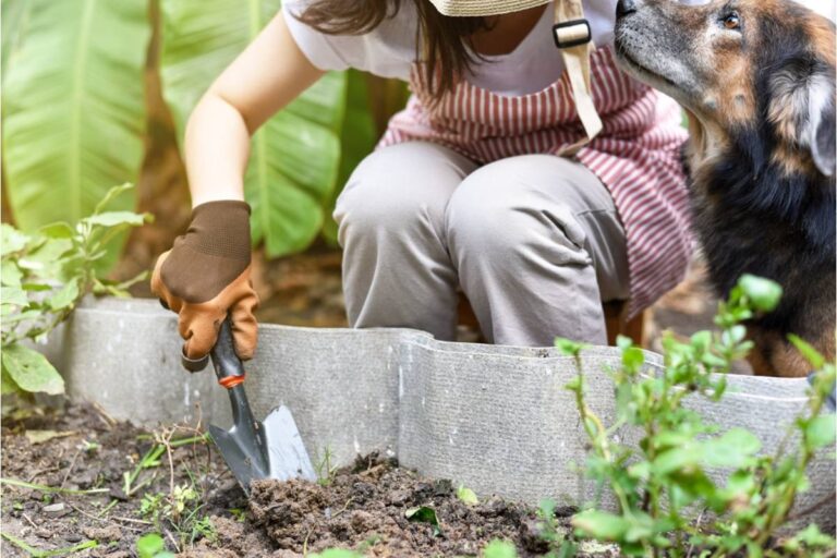 Gardener Says a Neighbor Who Dismissed Her No-Dig Garden Method as Lazy for Two Seasons Just Asked Her for a Full Explanation After Seeing Her Yield This Summer