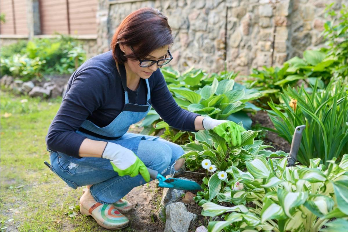 Homeowner Says Her Neighbor Called Her Vegetable Garden Trashy for Four Years Running, Then Asked Her to Cater His Garden Party