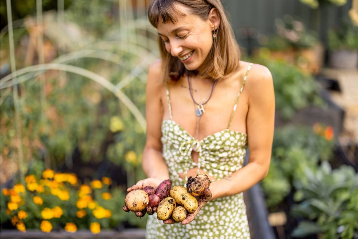 Homeowner Says Her Neighbor Complained About Her Garden for Three Years, Then Asked to Buy Vegetables From Her the Moment the Harvest Came In