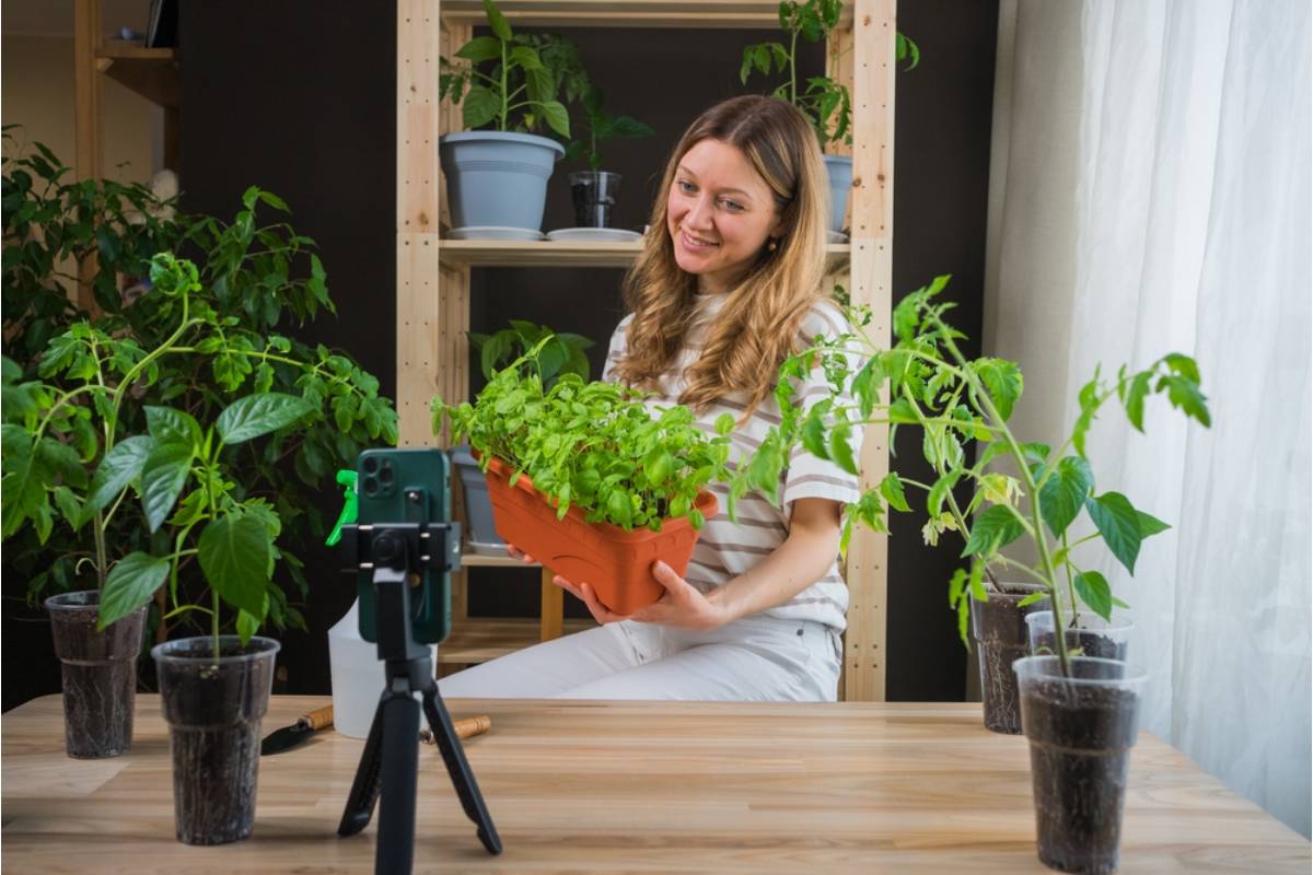 Homeowner Says Her Neighbor Has Been Photographing Her Garden Every Week for a Year and Just Launched a Gardening Blog Using Every Single Image Without Asking
