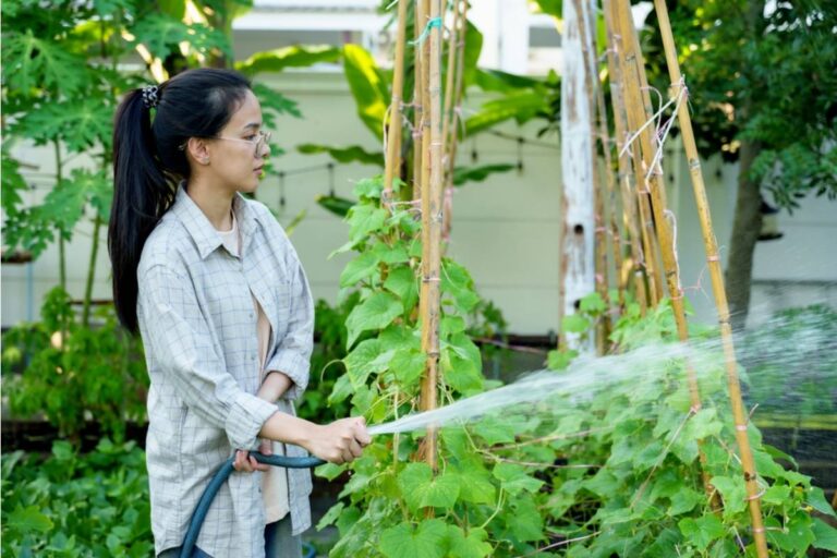 Homeowner Says Her Neighbor Has Been Telling Everyone on the Street Her Garden Is Maintained by a Professional Landscaper, Now Nobody Believes She Does It Herself