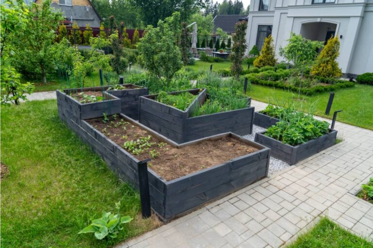 Homeowner Says Her Neighbor Insisted for Years That Her Raised Beds Were Killing the Roots of His Lawn, Then Asked to Buy Her Entire Vegetable Harvest at the End of the Season