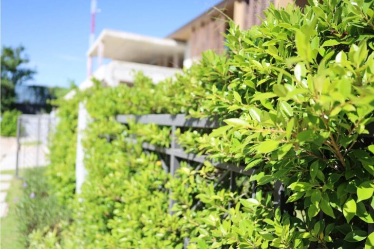 Homeowner Says Her Neighbor Offered to Split the Cost of a Shared Garden Fence, Then Quietly Filed for a Tax Deduction on the Full Amount Without Telling Her