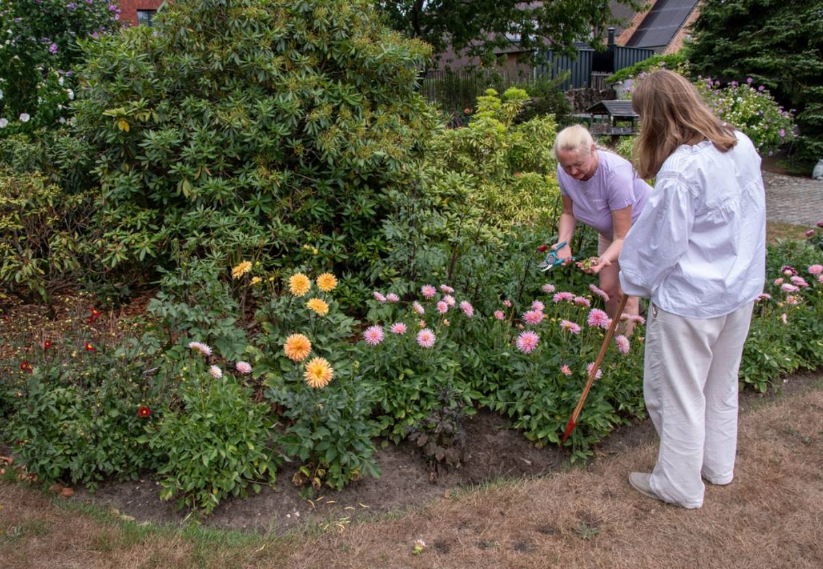 Homeowner Says Her Neighbor Suggested They Combine Their Yards Into One Shared Garden, Then Stopped Doing Any Work the Moment She Agreed