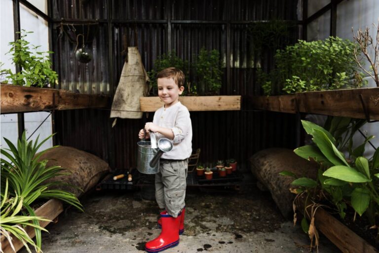 Homeowner Says Her Neighbor's Kid Knocked Over Her Entire Seed Starting Setup in the Garage and the Parents Offered to Replace It With Dollar Store Packets