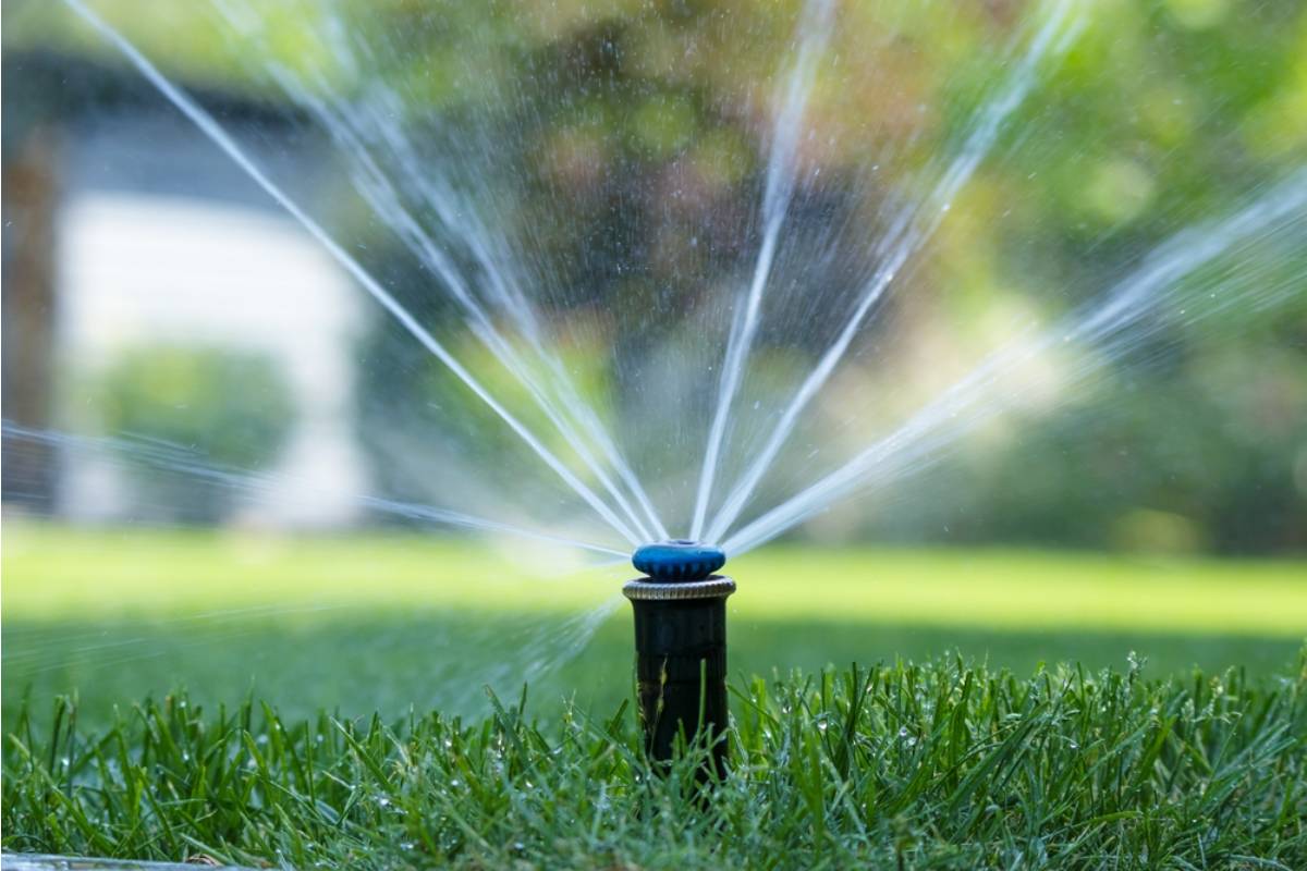Homeowner Says His Neighbor Agreed to Split the Cost of a New Irrigation System That Serves Both Yards, Then Claimed He Never Agreed to Anything the Moment the Invoice Arrived