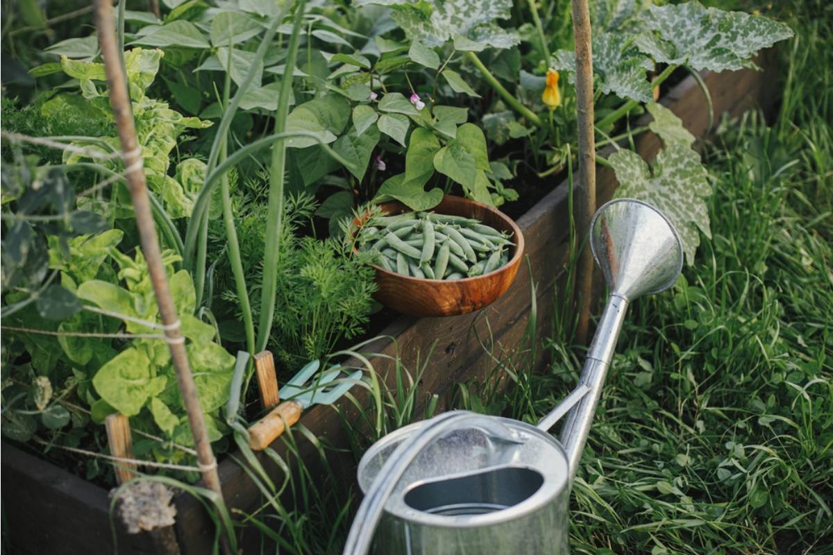 Homeowner Says His Neighbor Convinced the HOA to Classify His Vegetable Garden as a Agricultural Operation That Violates Residential Zoning