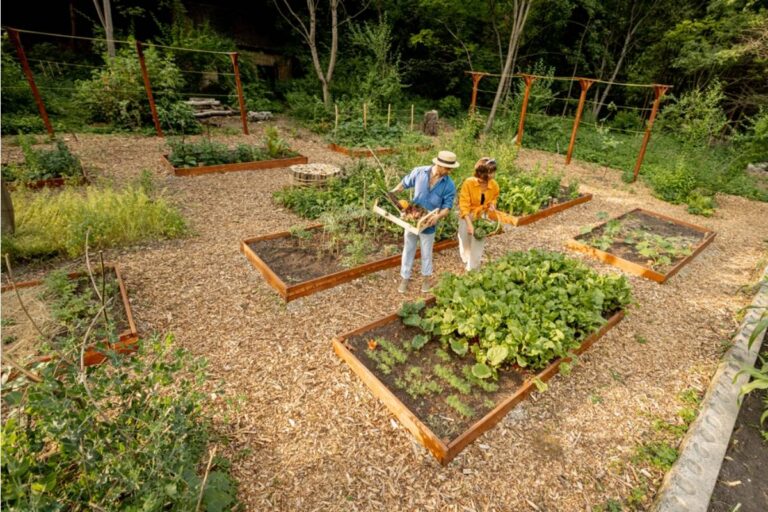 Homeowner Says His Neighbor Has Been Hosting Garden Tours of His Yard While He Is at Work, Charging Visitors Five Dollars Each and Telling Them She Is the Owner