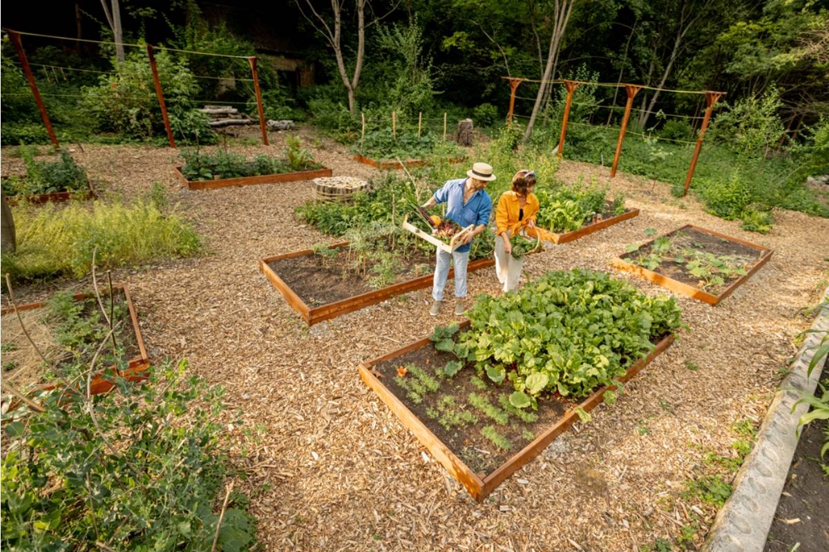 Homeowner Says His Neighbor Has Been Hosting Garden Tours of His Yard While He Is at Work, Charging Visitors Five Dollars Each and Telling Them She Is the Owner