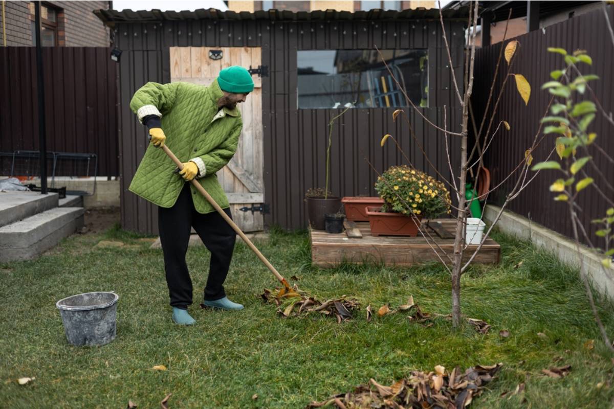 Homeowner Says His Neighbor Has Been Telling Everyone He Mentored Him Through His First Garden Season, But He Has Never Once Asked Him for Advice or Even Said Hello Across the Fence