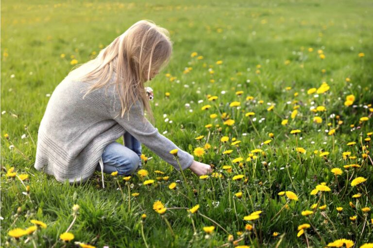 Homeowner Says His Neighbor Keeps Letting Her Grandchildren Pick Flowers From His Front Garden Every Sunday After Church, She Says It Teaches Them to Appreciate Nature