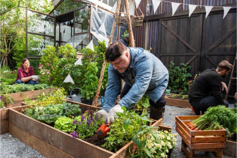 Homeowner Says His Neighbor Keeps Picking Just One Vegetable Every Time He Walks Past the Garden, He Says It's Basically Nothing Each Time