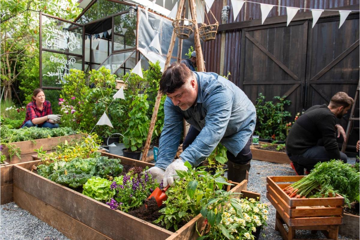Homeowner Says His Neighbor Keeps Picking Just One Vegetable Every Time He Walks Past the Garden, He Says It's Basically Nothing Each Time