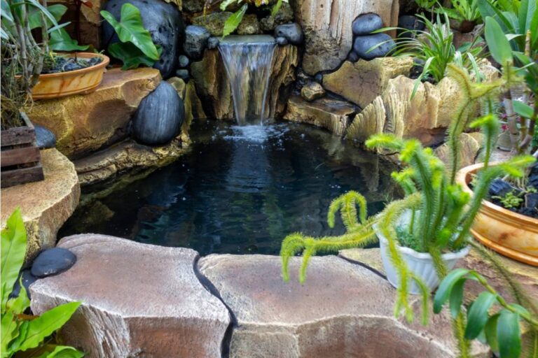 Homeowner Says His Neighbor Kept Insisting His Backyard Pond Was a Mosquito Breeding Ground for Two Summers, Then Asked to Host a Garden Party Right Beside It the Moment the Lily Pads Bloomed