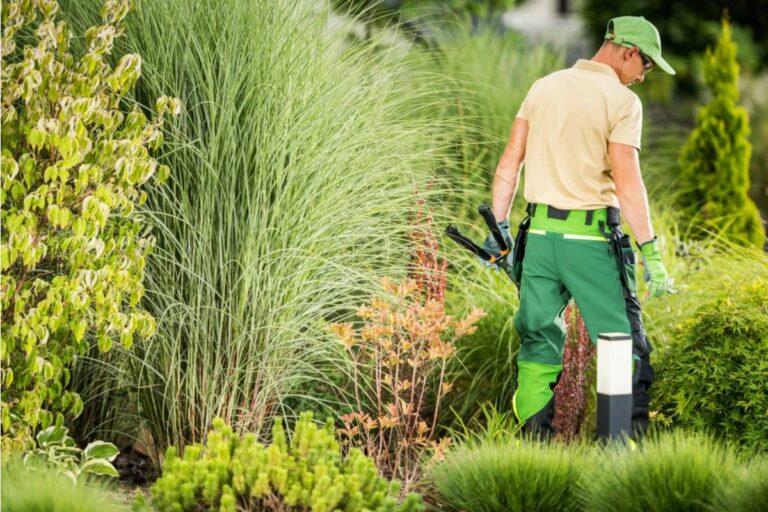 Homeowner Says His Neighbor Kept Insisting His Garden Needed Professional Help for Years, Then Asked Him to Redesign Her Entire Backyard for Free the Moment His Photos Went Viral Locally