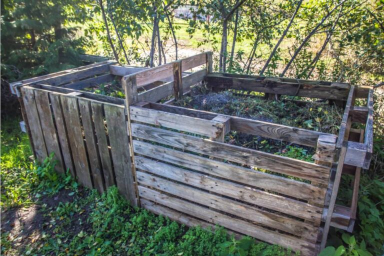 Homeowner Says His Neighbor Spent Two Years Convincing the Street That His Composting Attracted Rats, Then He Found a Trail Camera Showing the Neighbor Opening the Bin Every Night and Leaving Food Scraps Inside