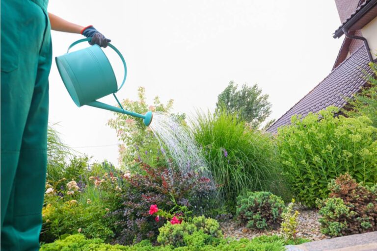 Nobody Warns First-Time Gardeners About What Happens to Their Soil After One Heavy Summer of Overwatering