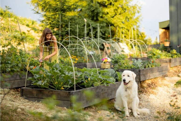 Some Backyard Gardeners Are Letting One Raised Bed Go Completely Wild Each Season as a Dedicated Insect Habitat, And What Shows Up Is Changing How They Think About Pest Control