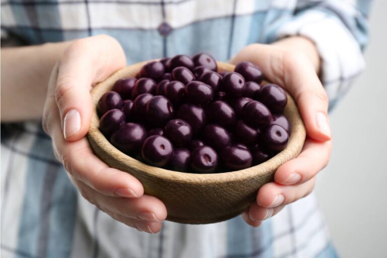 Some Home Gardeners Are Growing Their Own Açaí-Style Berries From Hardy Substitute Plants in Cooler Climates, And the Results Are Surprising People Who Assumed It Was Impossible