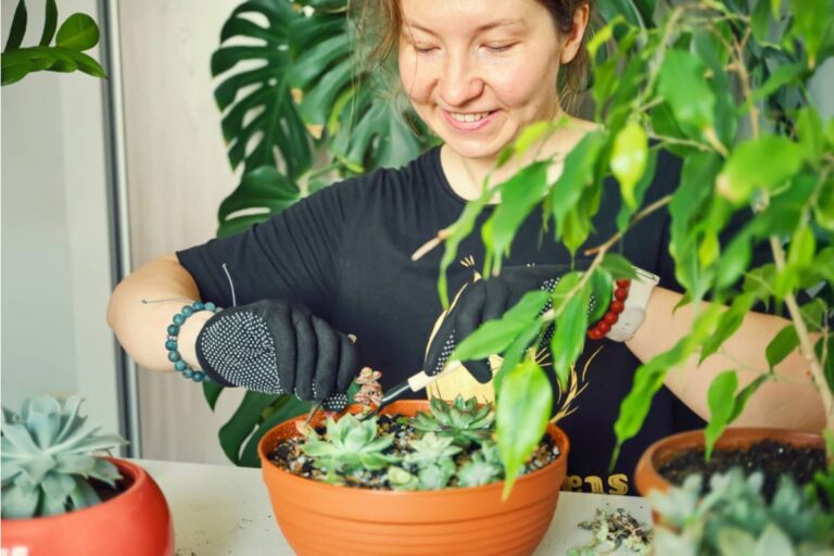Some Home Gardeners Are Growing Their Own Turmeric and Storing the Harvest in the Freezer, And the Cost Difference Compared to Store Bought Is Hard to Ignore