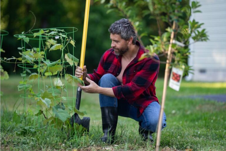 The One Thing Experienced Gardeners Say They Do Every Single Autumn That Makes the Following Spring Almost Effortless
