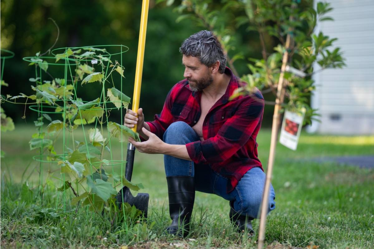 The One Thing Experienced Gardeners Say They Do Every Single Autumn That Makes the Following Spring Almost Effortless