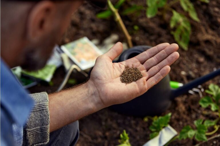 The Real Reason Experienced Gardeners Say You Should Never Share Your Best Seed Sources With Anyone on Your Street