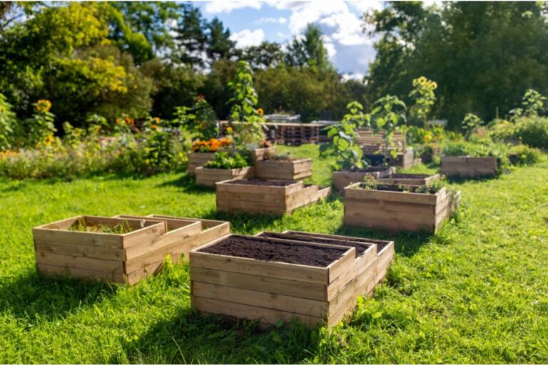 The Reason Experienced Gardeners Say You Should Never Buy the Cheapest Raised Bed Kits, Even When They Look Identical to the Expensive Ones