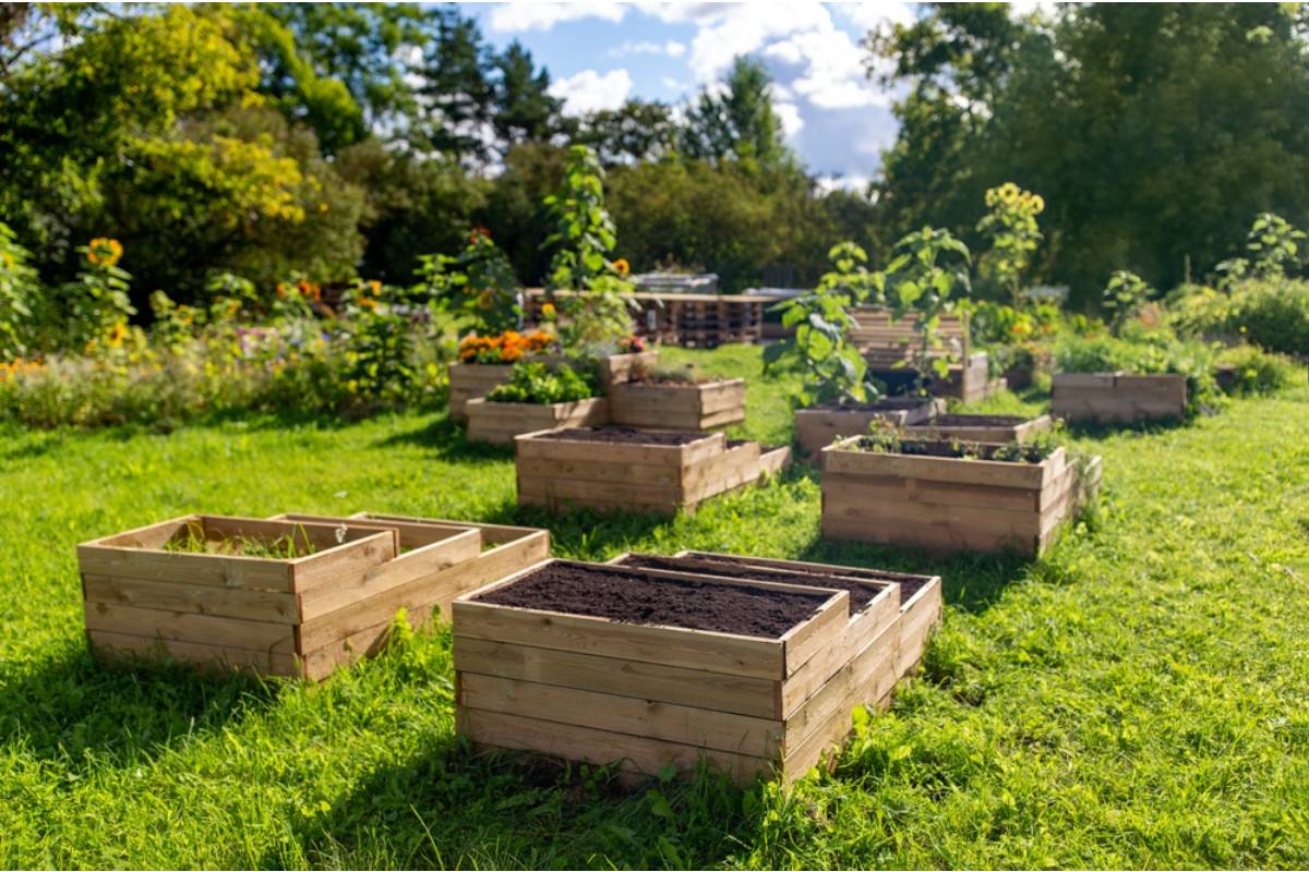 The Reason Experienced Gardeners Say You Should Never Buy the Cheapest Raised Bed Kits, Even When They Look Identical to the Expensive Ones
