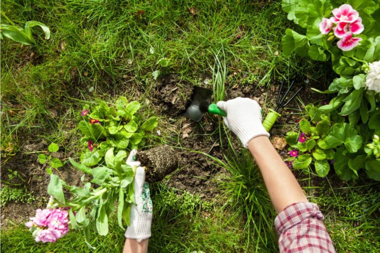 What Gardeners Who Finally Switched to No Dig Methods Say Happened to Their Weed Problem After Just One Full Season