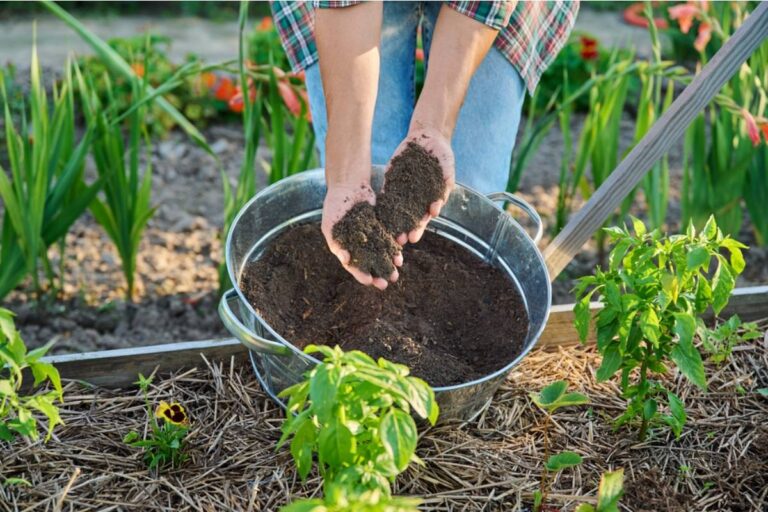 What Gardeners Who Finally Tested Their Soil Say They Wish They Had Known Before Spending Years Buying the Wrong Amendments