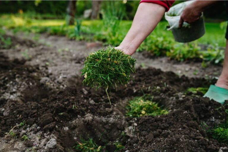 What Happens to Your Soil After Ten Years of Mulching, According to Gardeners Who Have Been Doing It Since the Beginning