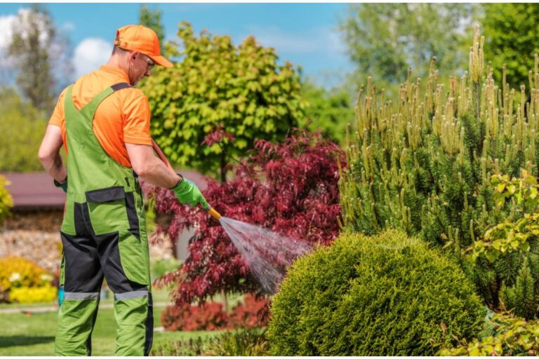 What Most Gardeners Get Completely Wrong About Watering in the Summer, According to People Who Learned the Expensive Way