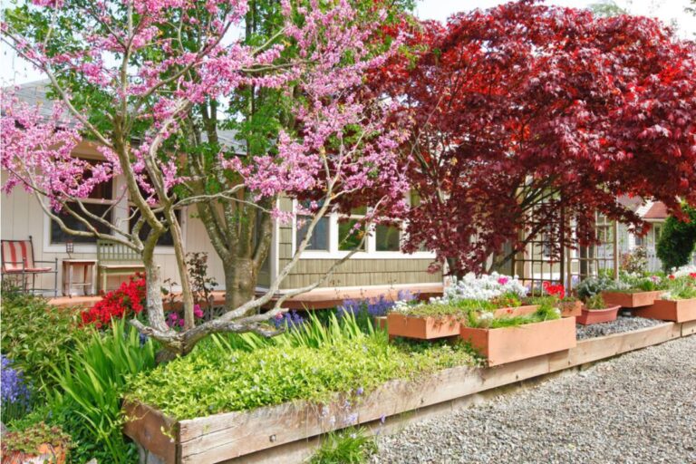 Gardener Says She Has Been Quietly Keeping a Neighborhood Beautification Garden at the End of the Street for Four Years With Her Own Money, Then the City Sent Her a Bill for Unauthorized Planting on Public Land