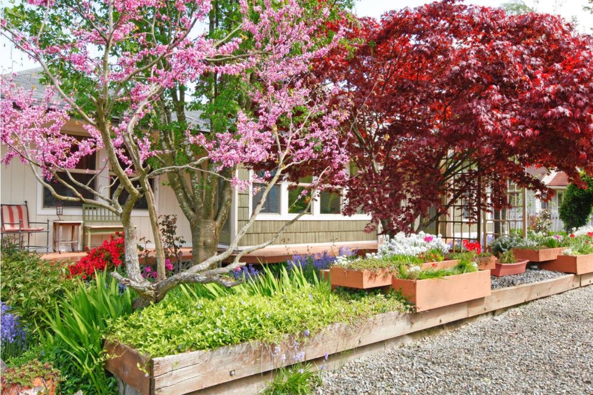 Gardener Says She Has Been Quietly Keeping a Neighborhood Beautification Garden at the End of the Street for Four Years With Her Own Money, Then the City Sent Her a Bill for Unauthorized Planting on Public Land