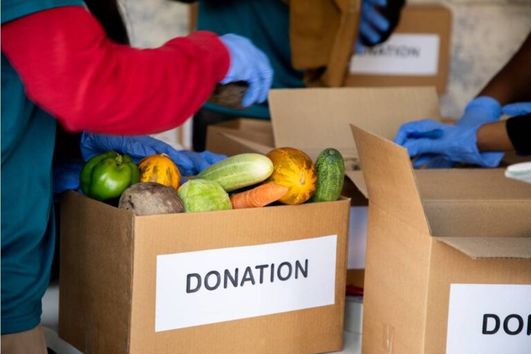 Gardener Says She Has Been Donating Surplus Produce to a Local Food Bank Every Week for Three Years, Then Found Out a Neighbor Has Been Intercepting the Bags From Her Porch Before the Pickup Driver Arrives
