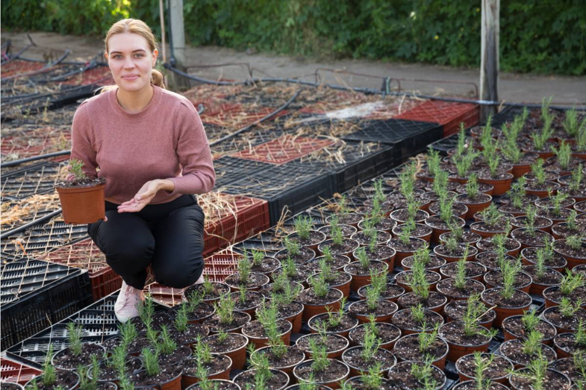 Gardener Says a Local Nursery Used Photos of Her Backyard in Their Advertising Without Ever Asking or Crediting Her