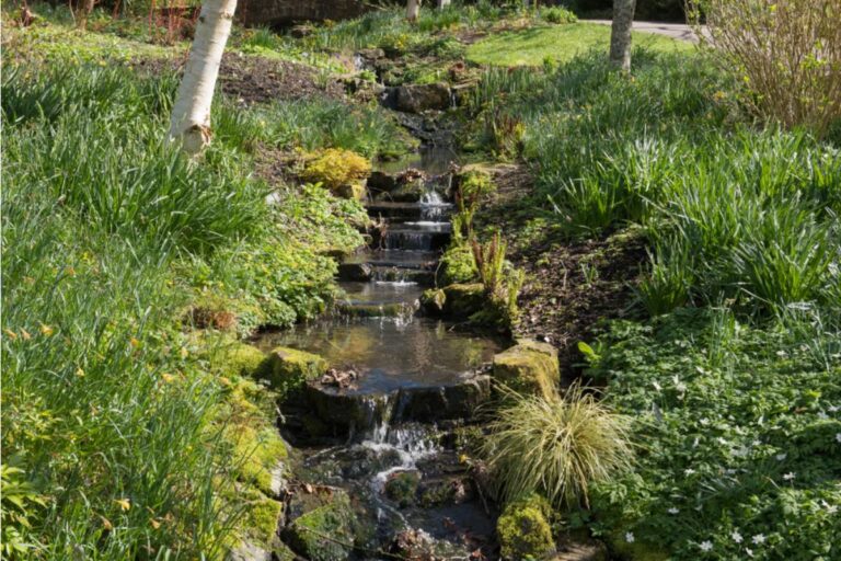 Gardener Says Her Neighbor Dismissed Her Rain Chain and Bog Garden as Pointless for Two Summers, Then Asked How to Build One the Moment Flooding Hit Her Own Yard