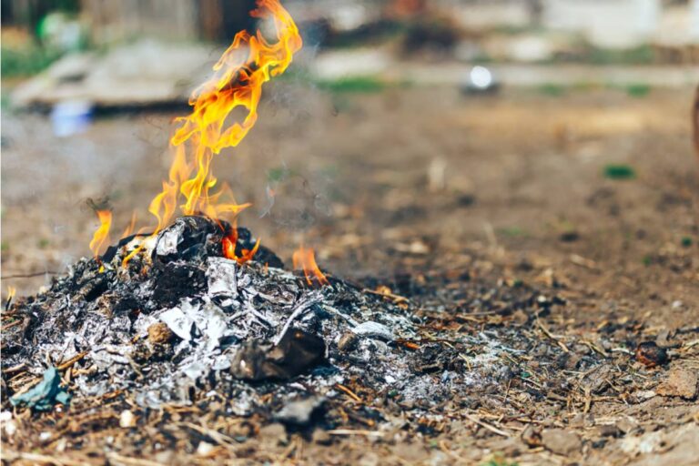 Homeowner Says His Neighbor Has Been Insisting for a Year That His Vegetable Garden Smell Was Making Her Sick, Then Was Caught Burning Trash in Her Own Backyard the Whole Time