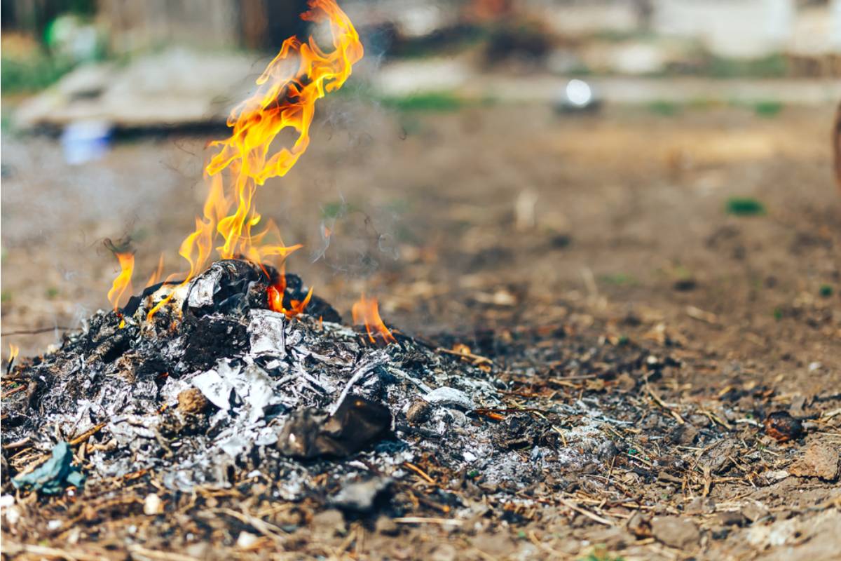 Homeowner Says His Neighbor Has Been Insisting for a Year That His Vegetable Garden Smell Was Making Her Sick, Then Was Caught Burning Trash in Her Own Backyard the Whole Time