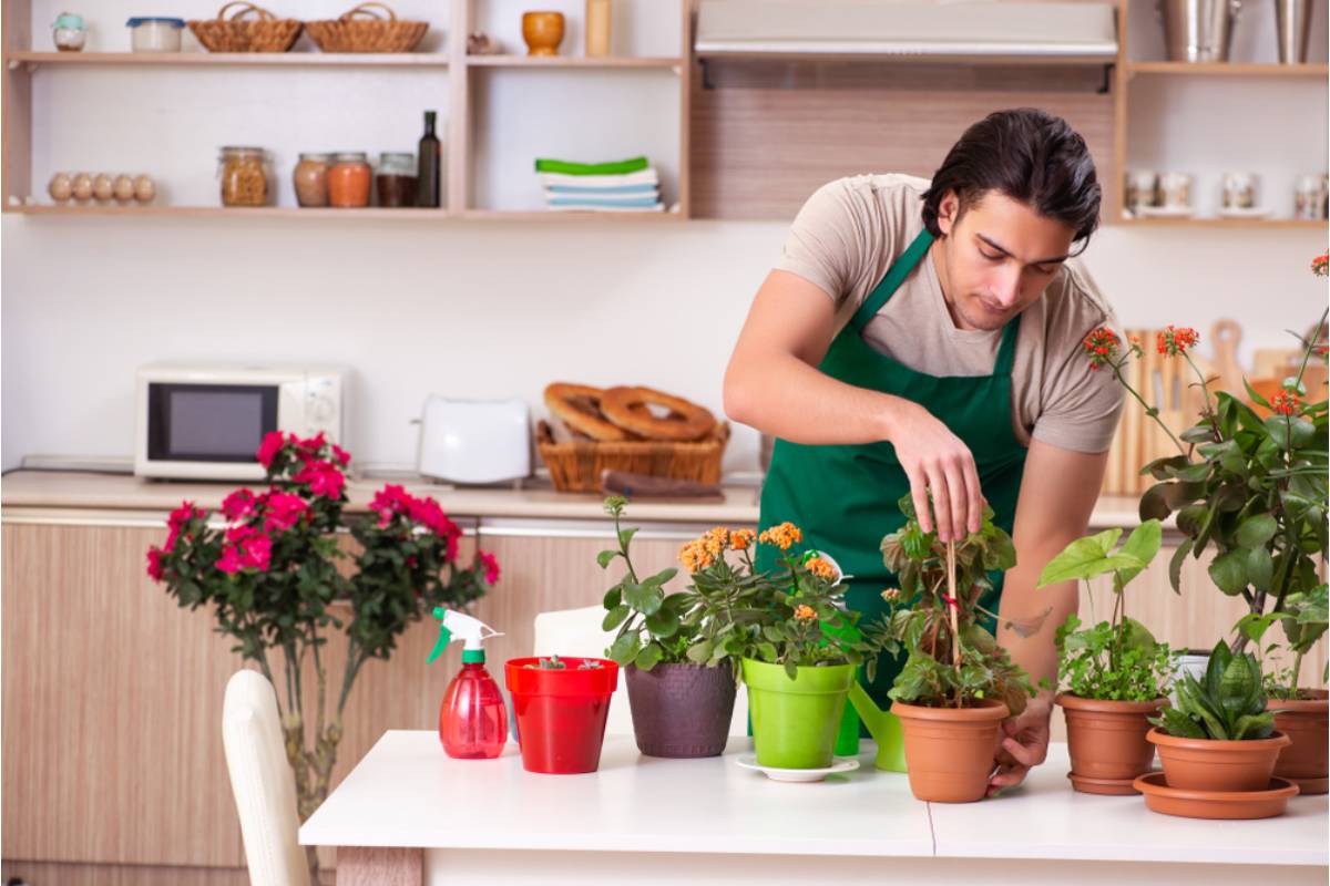 Homeowner Says Her Adult Daughter Moved Back Home and Let Her Boyfriend "Redesign" the Garden While She Was at Work, Now Nothing Is Where It Was