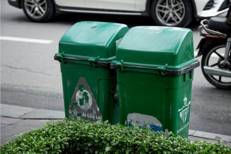 Gardener Says a Neighbor Has Been Timing Her Trash Pickup to Grab Ripe Vegetables Off the Curb Before the City Truck Even Arrives
