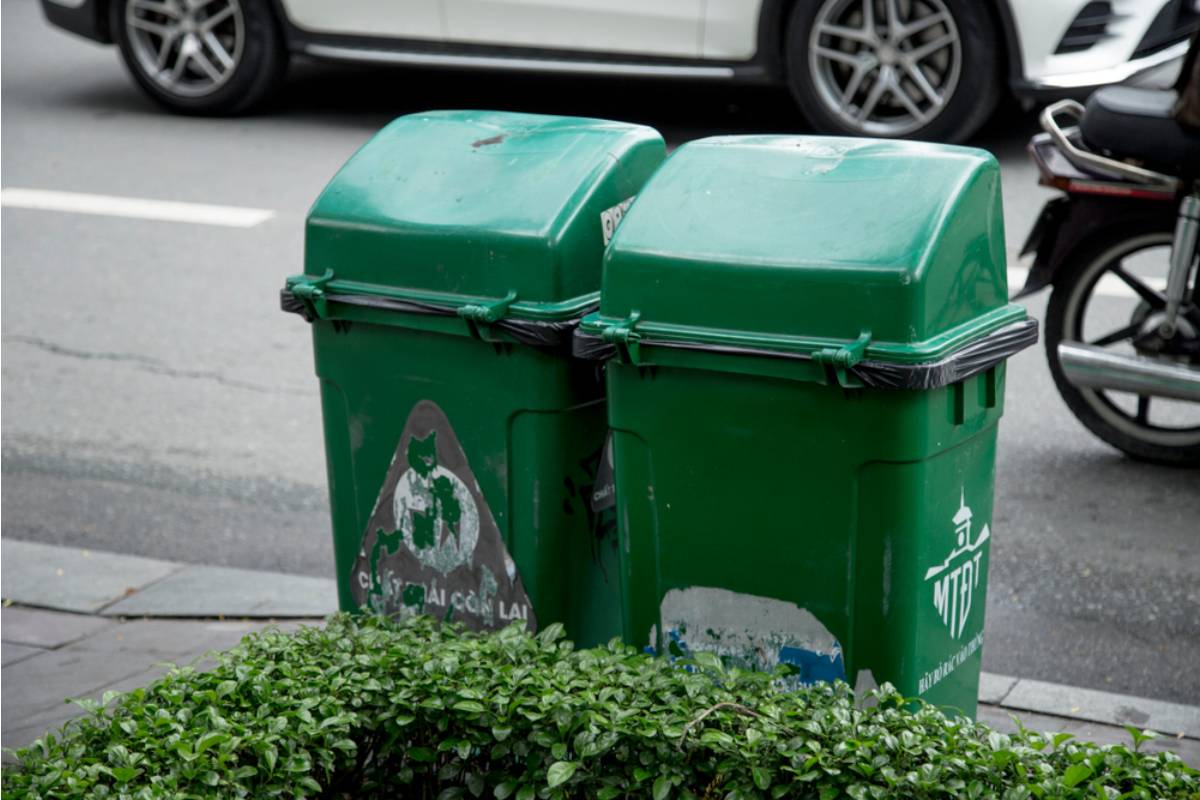 Gardener Says a Neighbor Has Been Timing Her Trash Pickup to Grab Ripe Vegetables Off the Curb Before the City Truck Even Arrives