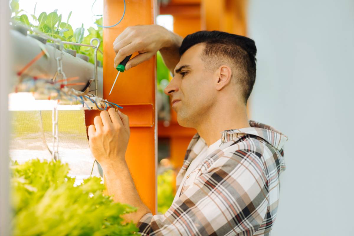 Gardener Says Her Brother Spent the Holiday "Fixing" Her Greenhouse Vents, Now Every Tropical Plant She'd Kept Alive for Years Has Frozen Overnight