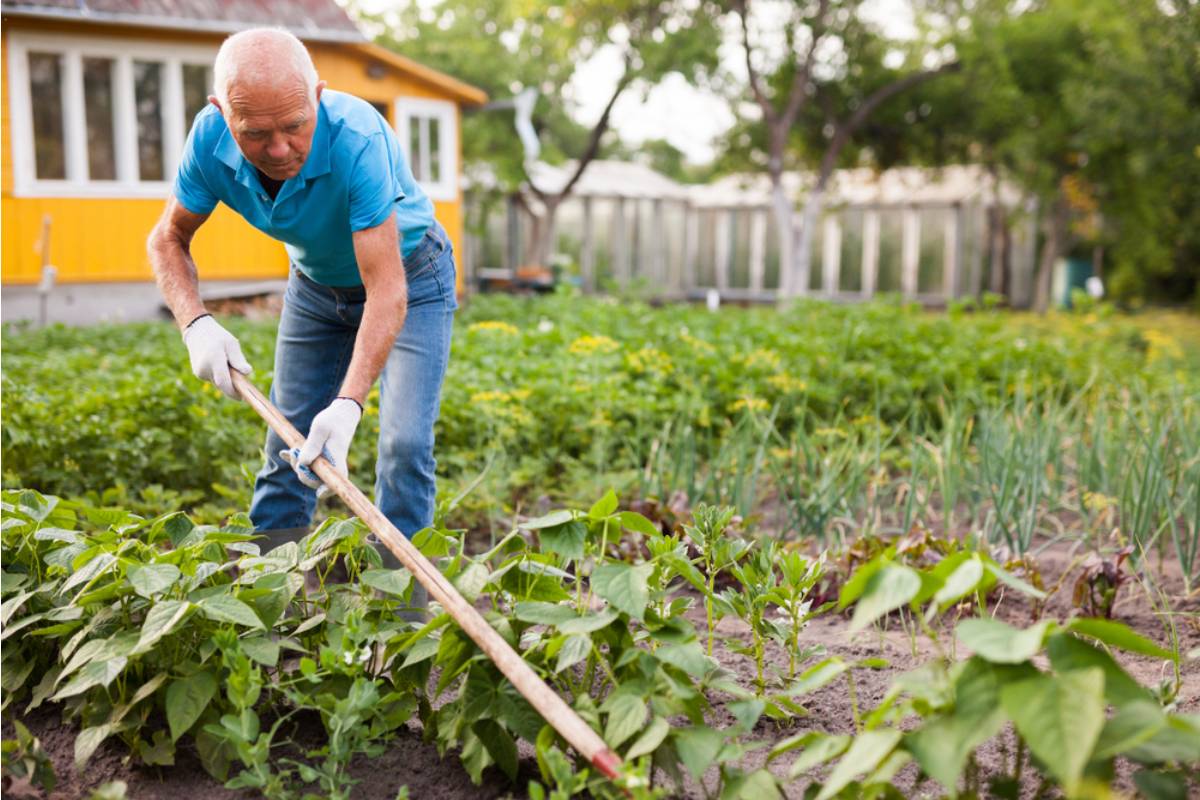 A Man Spent Forty Years Refusing to Let Anyone Touch His Garden, Then Explained Exactly Why the Week Before He Passed