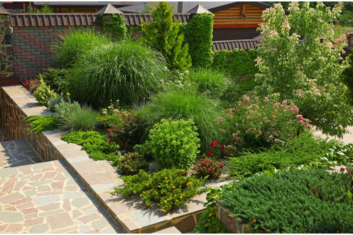 Homeowner Says She Spent Six Years Growing a Garden That Got Featured in a Local Magazine, Then Her Landlord Raised Her Rent Citing the Increased Property Value Her Garden Created, "He Said It Added Curb Appeal"