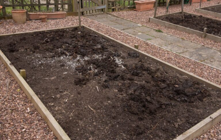 Gardener Says Her Cousin Was Watching the House During a Medical Procedure and Let a Contractor Dump Extra Gravel Onto the Vegetable Rows