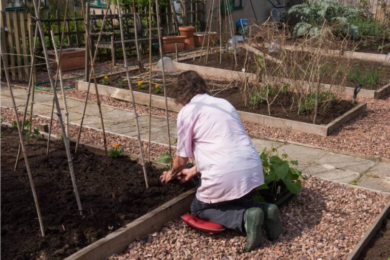 Gardener Says Her Neighbor Mocked Her Raised Beds as "Too Much Work" for Two Years, Then Asked to Split the Cost of Building Her Own Identical Set